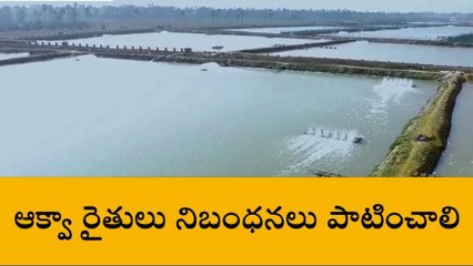 పశ్చిమ గోదావరి: ఆక్వా రైతులు కాస్త జాగ్రత్త