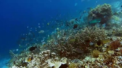 10 Strangest Holes On Planet Earth