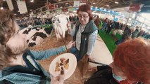 Salon de l’agriculture : la « viande végétale » veut se faire une place au royaume des animaux