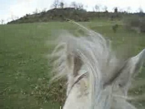 Izou galop ds le pré