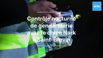 Un contrôle antidrogue avec le chien de la gendarmerie Nark, à Saint-Brevin-les-Pins