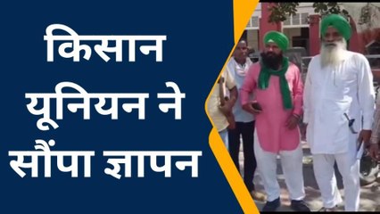 शाहजहांपुर: फसलों को नुकसान पहुंचा रहे निराश्रित पशु, किसान परेशान