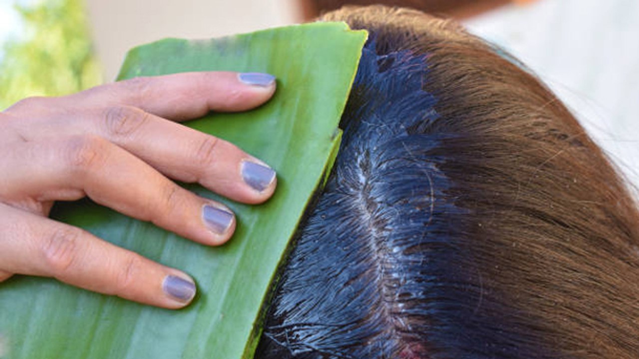Baalo Me Aloe Vera Lagane Ke Nuksan । बालों में एलोवेरा लगाने के नुकसान