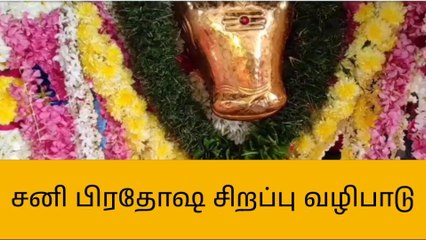 தி.மலை: ஸ்ரீ ஜலகண்டேஸ்வரர் கோயிலில் சனி பிரதோஷ வழிபாடு!