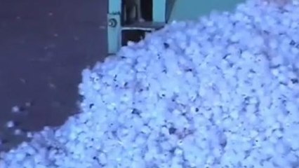 ఆసిఫాబాద్: పరేషాన్ లో పత్తి రైతులు..!