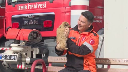 Enkazdan kurtarılan yavru köpeğe İzmirli itfaiyeci yuvasını açtı