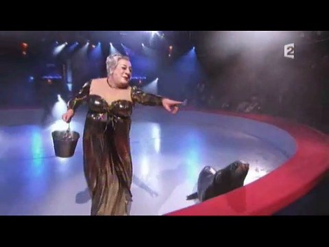 Deux extraits du 49ème Gala des Artistes donné le 29 mars 2010 au Cirque d'hiver Bouglione