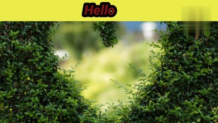 #Fashion shop #Teeth whitening Powder||order now// Link Discreption mai hai.