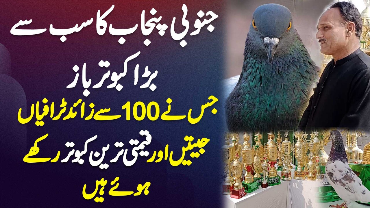 Layyah Ka Kabootar Baaz Jis Ne 100 Se Ziada Trophies Win Ki Or Expensive Pigeons Bhi Rakhe Hue Ha