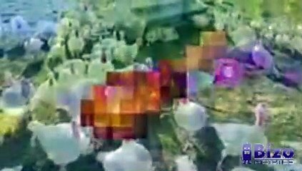 ereimerP enilnO | RETLA | "smrowgniR" mliF trohS rorroH