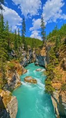 nature#short#bestview#trending#youtub#bestvedio