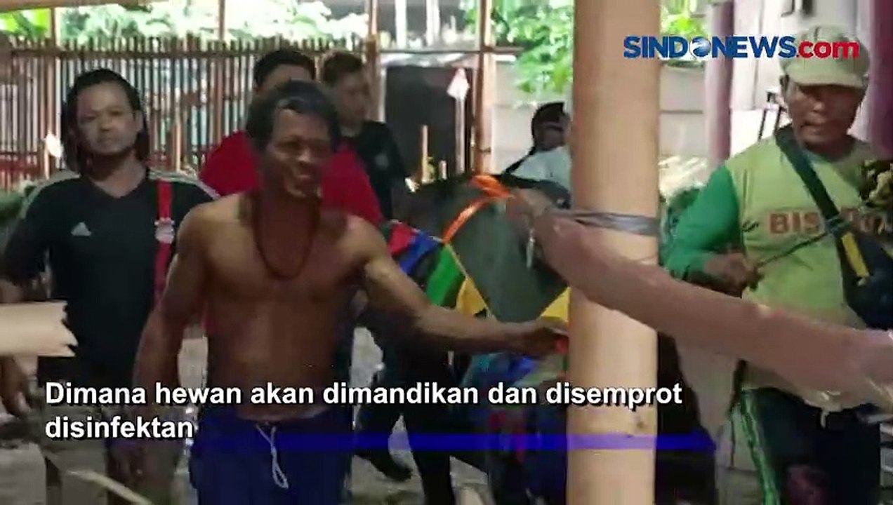 Kreatif, Pedagang Hewan Kurban di Tanjung Priok Buat Salon Sapi dan Kambing