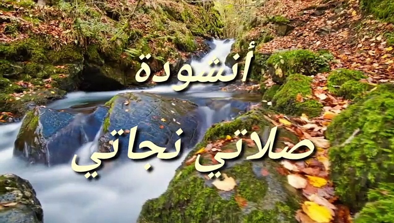 صلاتي نجاتي