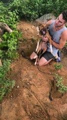 Man Helps Save Tied Up Doggie