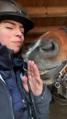 Blind Horse Kisses
