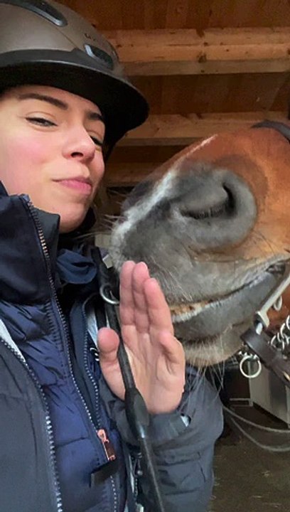 Blind Horse Kisses