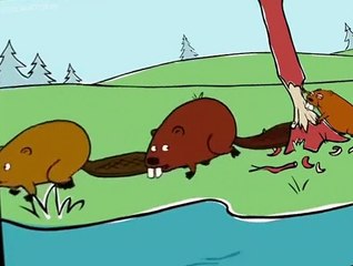 Peep and the Big Wide World S01 E03