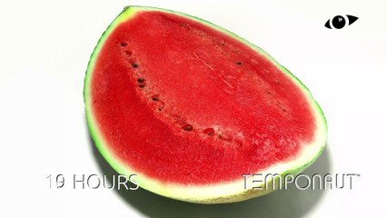 Watermelon Timelapse Rotated