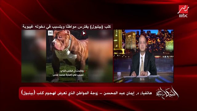 لازم يكون فيه قوانين وتشريعات رادعة لمواجهة تربية الكلاب المفترسة دي .. د. إيمان عبد المحسن زوجة المواطن الذي افترسه كلب بيتبول وتسبب في دخوله غيبوبة