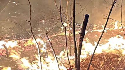 대구 앞산 화재...전국 곳곳 산불 "쓰레기 태우려다" / YTN