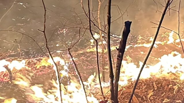 대구 앞산 화재...전국 곳곳 산불 쓰레기 태우려다 / YTN