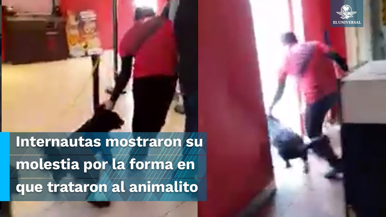 Con los perritos no, trabajador de Cinemex saca a perrito “por ser callejero”