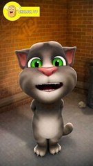 Talking tom funny video part 6 #tom#talkingtom#comedy#jokes