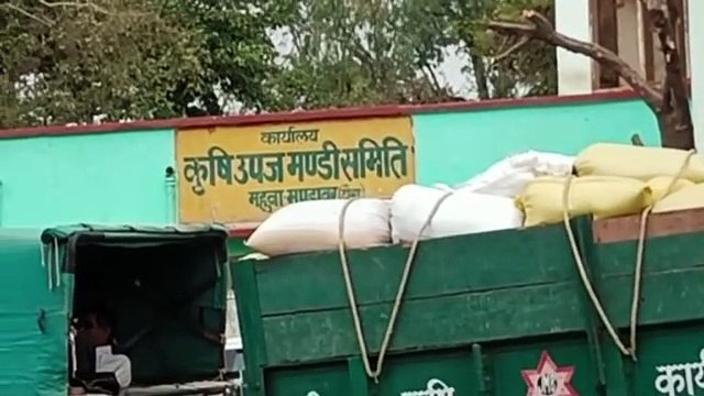 दौसा. अनाज मंडी में तीन दुकानों के तोड़े ताले, हजारों की नकदी पार