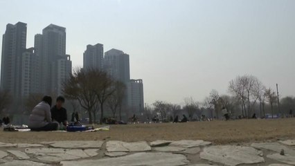 [날씨] 휴일 완연한 봄...미세먼지·산불 '주의' / YTN