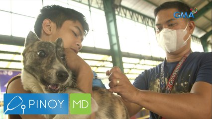 Bakit importanteng magpaturok ng anti-rabies vaccine? | Pinoy MD