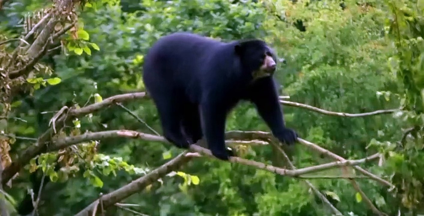 Zoo S02 E01