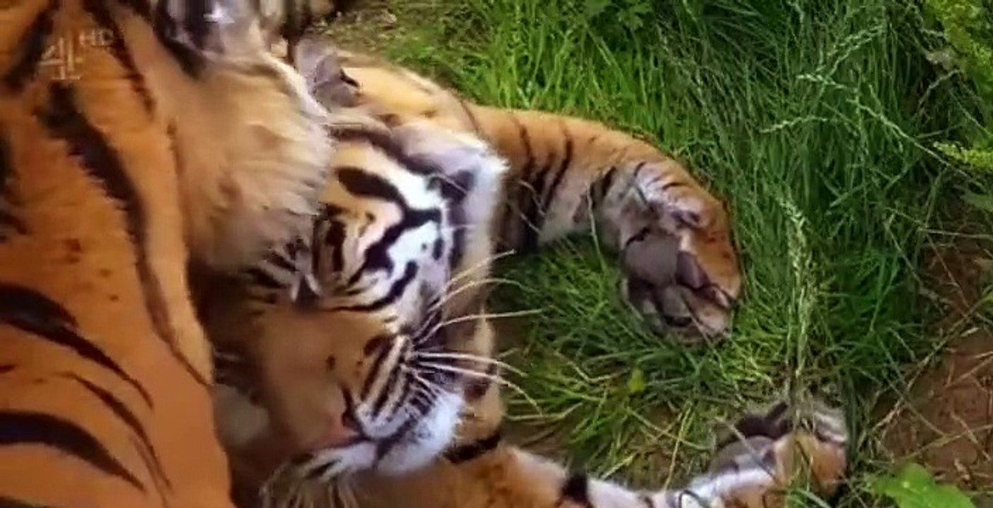 Zoo S02 E04