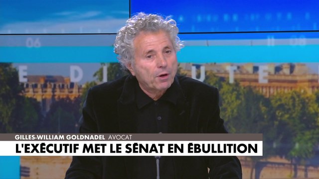 Gilles-William Goldnadel : «Si cette loi ne passe je n'en ferai pas une maladie»
