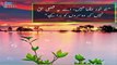 Urdu Best quotes| Islamic Quotes| Urdu poetry| Islamic Urdu Quotes