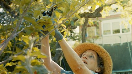 Take the Guesswork Out of Pruning Fruit Trees with These 9 Tips