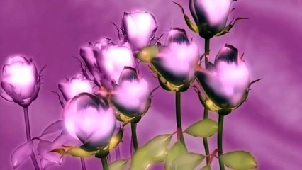 Moving flowers Background.  Animated Background.
