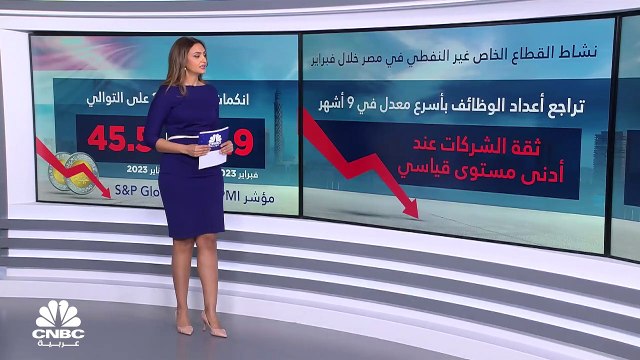 القطاع الخاص غير النفطي في مصر يواصل الانكماش للشهر 27 على التوالي