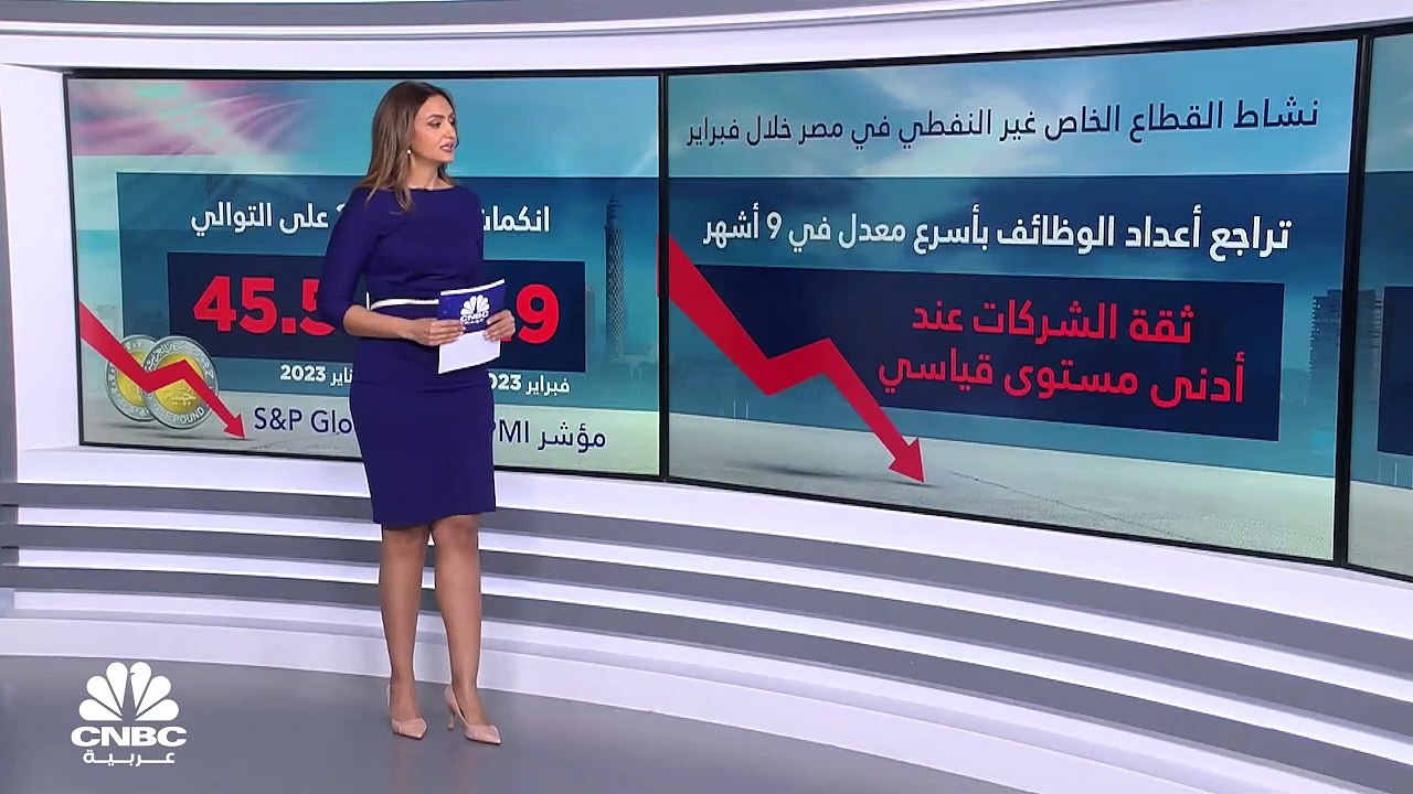 القطاع الخاص غير النفطي في مصر يواصل الانكماش ل...