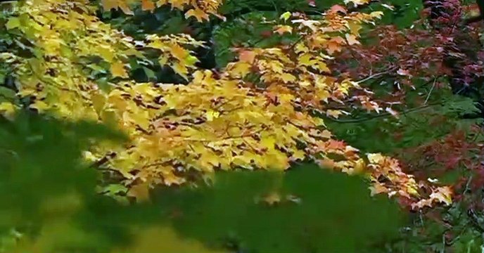 Jurassic Fight Club Jurassic Fight Club E007 Biggest Killers