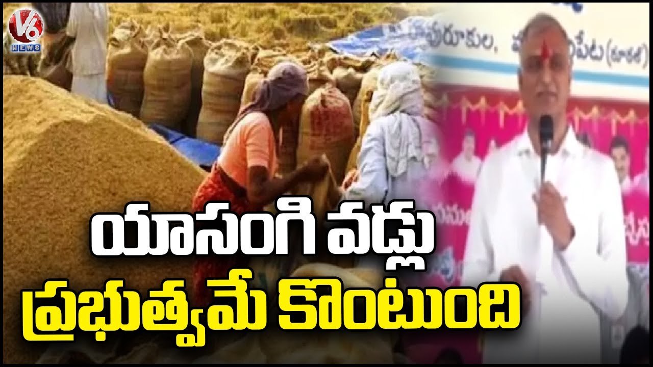 Govt Will Buy  Yasangi Paddy , Says Minister Harish Rao |  Harish Rao Siddipet Tour  | V6 News (2)