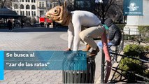 Así la guerra contra las ratas en Nueva York