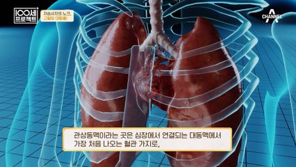 갑작스럽게 쓰러지는 병! 생명을 위협하는 급성심근경색?!