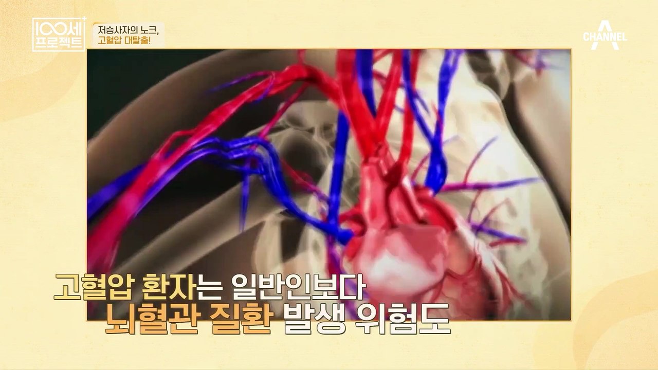 가족력에 따라 고혈압일 확률이 늘어난다?!♨ 우리 몸의 혈관이 막히면 안되는 중요한 이유!
