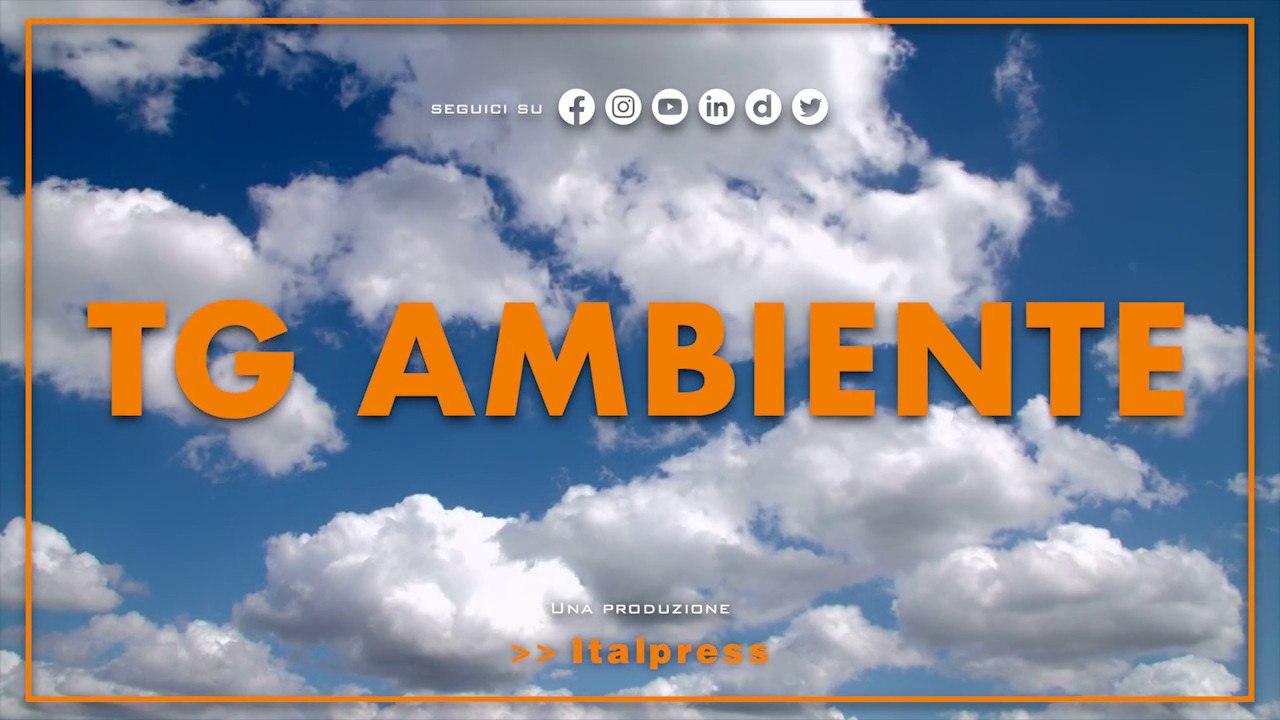 Tg Ambiente - 5/3/2023