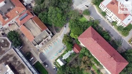 Would you give up your pooch if pet food was too pricey