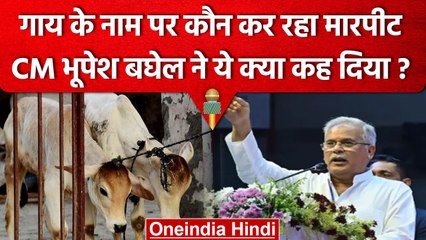 Bhupesh Baghel ने गाय पर ये क्या कह दिया, कौन है Cow Slaughter का जिम्मेदार? | वनइंडिया हिंदी