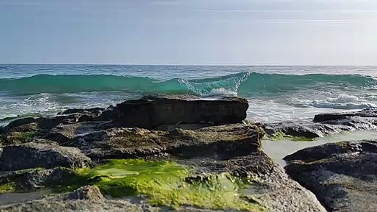 Sounds waves