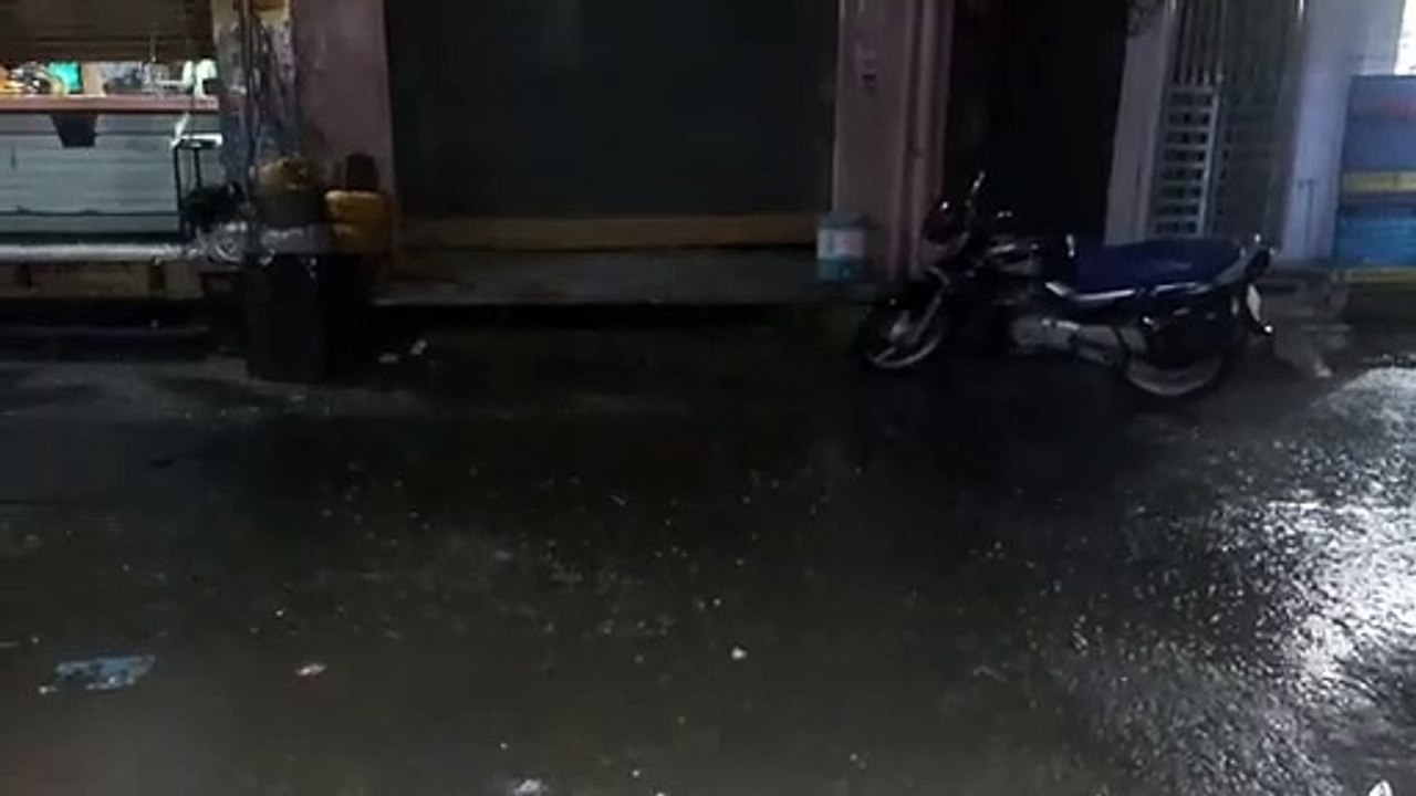 Damage caused to coriander and other crops due to unseasonal rains