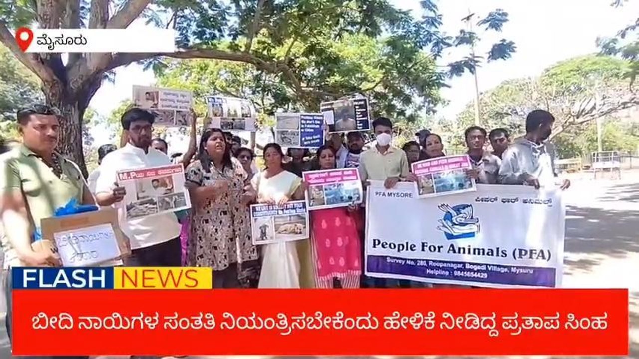 ಮೈಸೂರು:ಸಂಸದ ಪ್ರತಾಪ ಸಿಂಹ ವಿರುದ್ಧ ಶ್ವಾನ ಪ್ರಿಯರಿಂದ ಪ್ರತಿಭಟನೆ