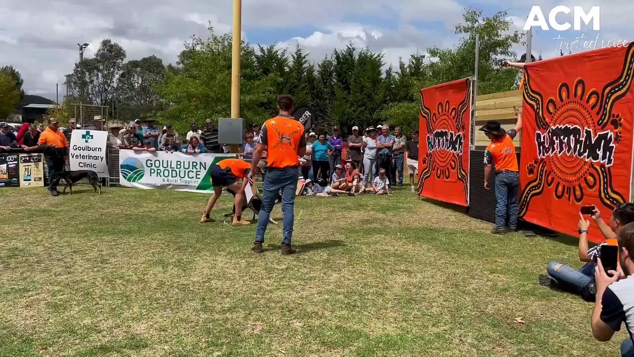 Dog jump - March 4, 2023 - Goulburn Post